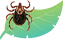 蜱虫.png