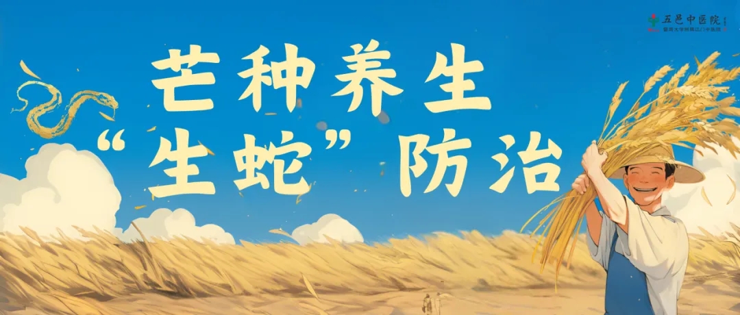 芒种时节，中医谈节气养生与“生蛇”防治